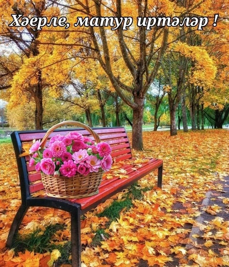 Хәерле иртә